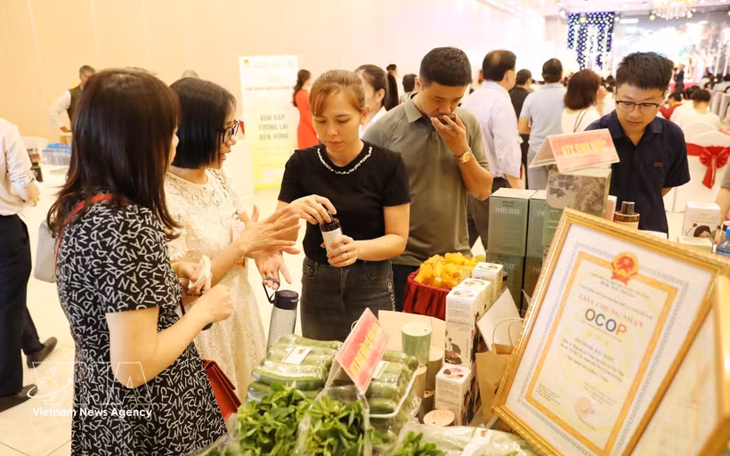 Introducción de productos orgánicos de Vietnam en una feria (Foto: VNA)