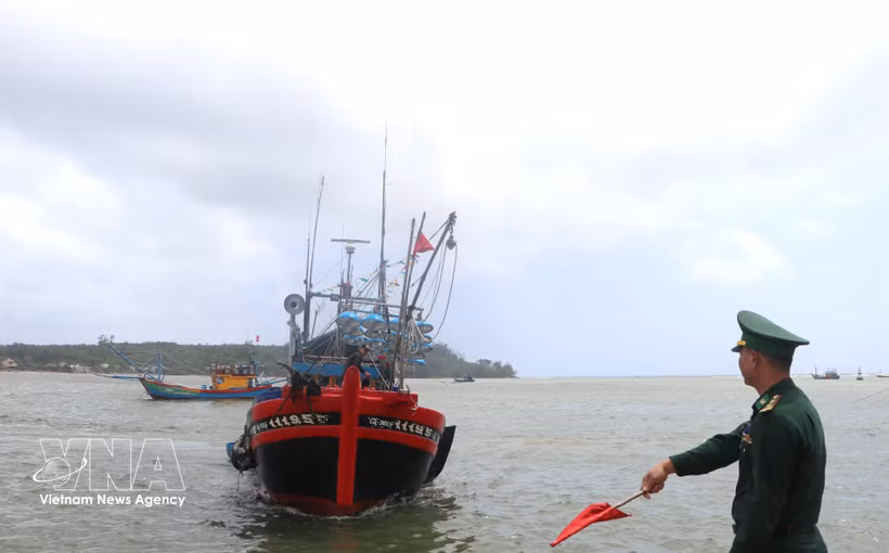 La fuerza de guardia fronteriza inspecciona los buques al entrar y salir del puerto (Fuente: VNA) 