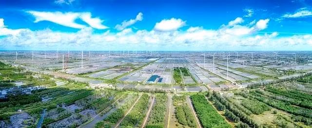 Un parque de energía eólica en la provincia de Bac Lieu. (Foto: VNA)