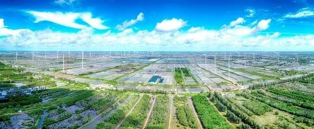 Un parque de energía eólica en la provincia de Bac Lieu. (Foto: VNA)