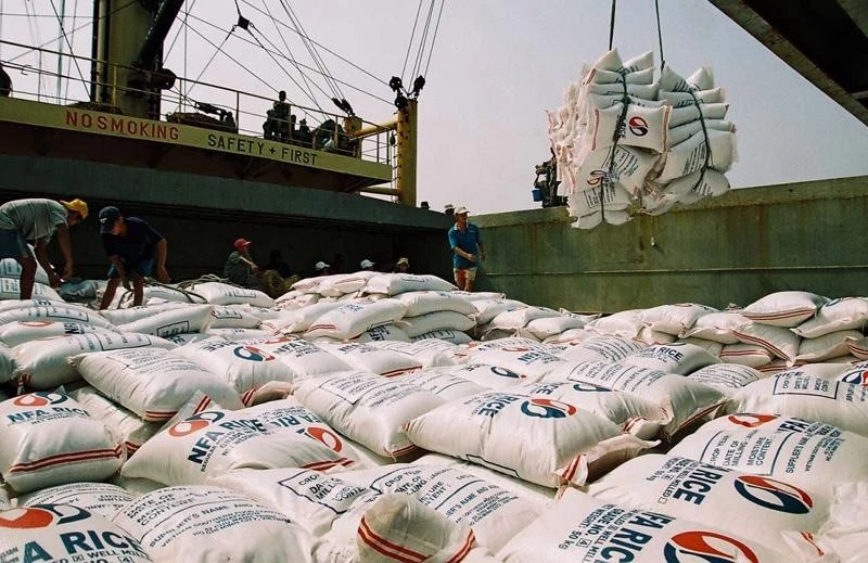 Arroz vietnamita para la exportación (Fuente: VNA)