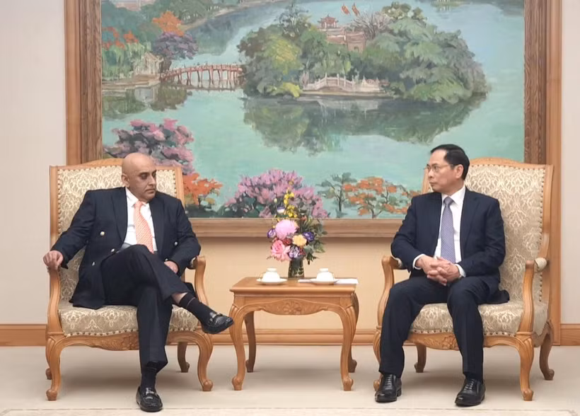 El viceprimer ministro y canciller vietnamita, Bui Thanh Son, y Ali Ijaz Ahmad, presidente del Grupo Makara Capital. (Fuente: VNA)