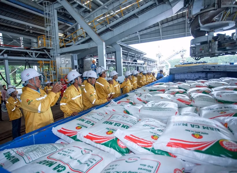 Empresa vietnamita exporta con éxito 40 mil toneladas de fertilizantes a Estados Unidos (Fuente: Petrovietnam)