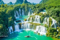 Turismo de Vietnam fija la meta de 45 a 50 millones de visitantes extranjeros en 2030 