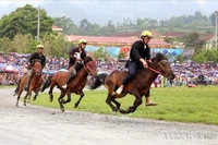 La carrera de caballos en Lao Cai (Fuente: VNA) 