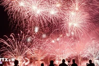 Un espectáculo en DIFF 2025 (Fuente: VNA)