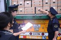 La aduana de la provincia de Lao Cai inspecciona mercancías importadas en el puesto fronterizo de la carretera internacional Kim Thanh. (Fuente: VNA) 
