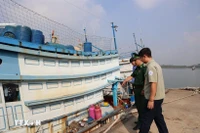 Las fuerzas competentes inspectan un barco en el puerto de Cat Lo (Fuente: VNA) 