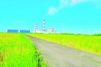 El área de almacenamiento de cenizas y escorias de la Central Termoeléctrica Duyen Hai. (Fuente: VNA)