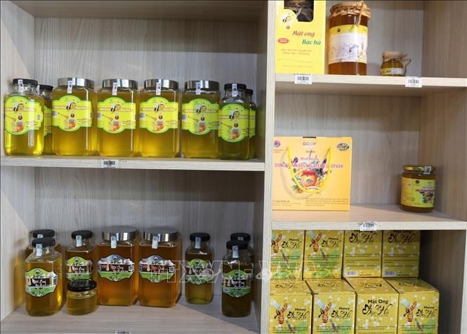 Lam Dong fortalece la conversión de cultivos de verano-otoño – Vietnam.vn