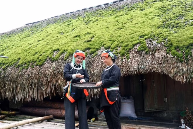 dao.jpg