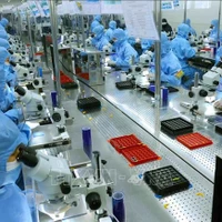 Línea de producción de módulos de cámara y componentes electrónicos para exportación en la fábrica de MCNEX VINA Co., Ltd., con una inversión 100% sudcoreana, en el Parque Industrial Phuc Son, provincia de Ninh Binh. (Foto: VNA)
