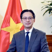 Do Hung Viet, viceministro de Relaciones Exteriores de Vietnam. (Fuente: VNA)