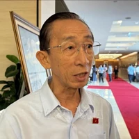 Tran Hoang Ngan, de la delegación de diputados de Ciudad Ho Chi Minh, en la entrevista. (Fuente: VNA)
