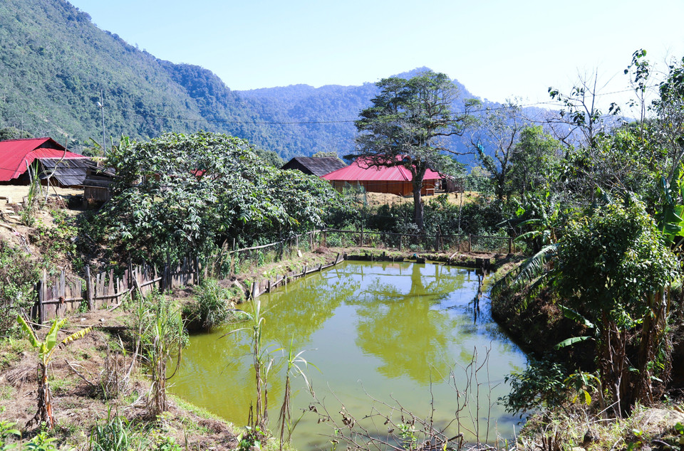 El pueblo Mong de la aldea de Huoi Man represa el arroyo y construye diques para crear estanques de peces, lo que proporciona alimento a sus familias. Foto: VNA