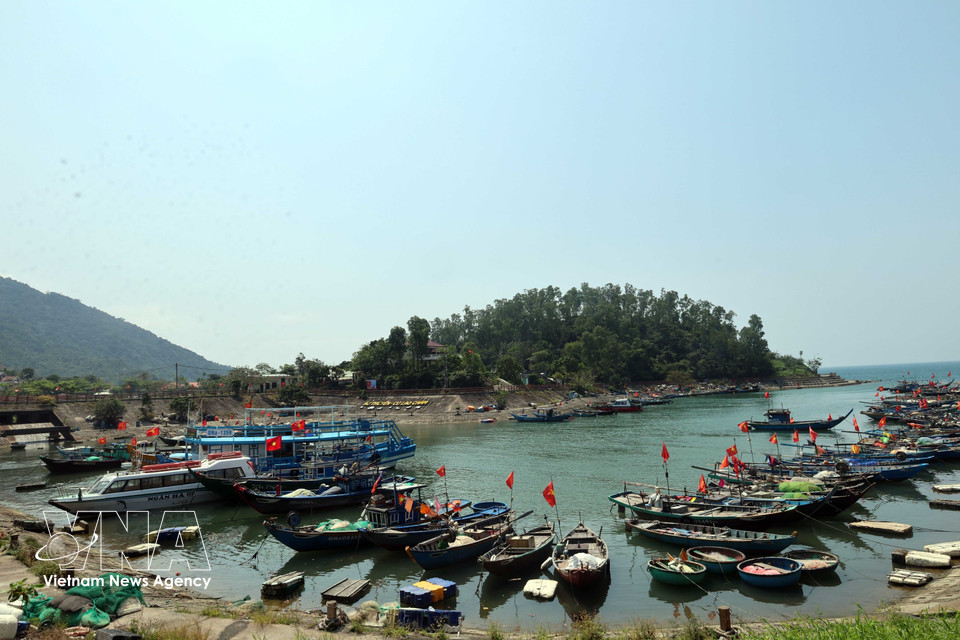 Barcos anclados en el muelle de la isla Cu Lao Cham. Foto: VNA