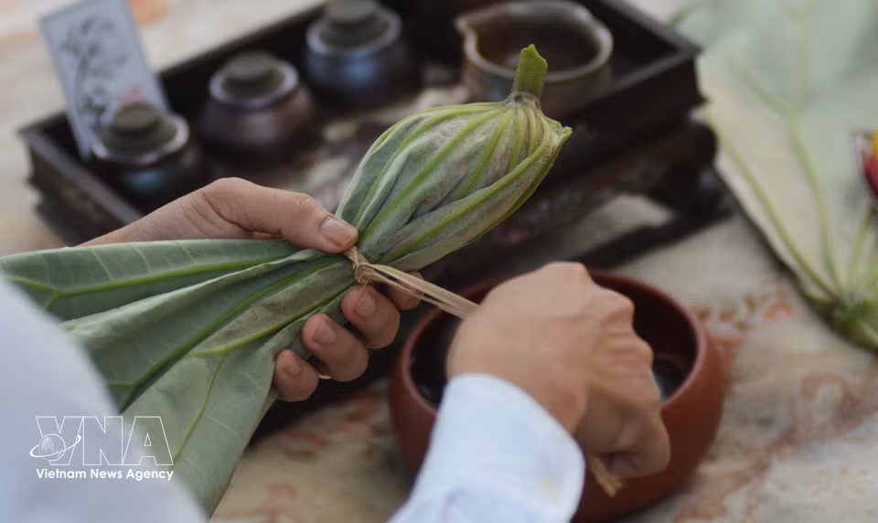 El té infusionado en flores de loto se envuelve en hojas de loto y se guarda en el refrigerador para su conservación a largo plazo. Foto: VNA