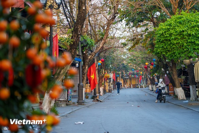 Las calles se llenan del verde de los árboles y el rojo de las banderas, una belleza saludable, llena de energía para un nuevo día. (Foto: Vietnam+)