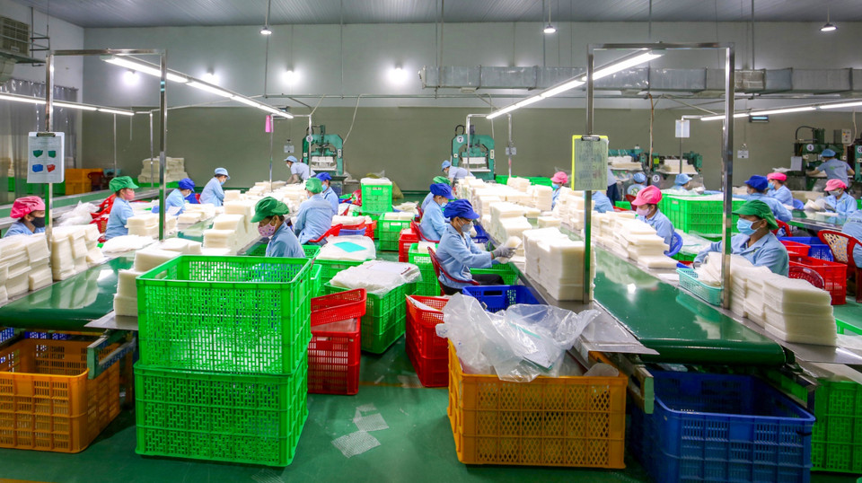 El papel de arroz de Tan Nhien cuenta con la certificación Halal JAKIM, cumpliendo estrictamente con las normas de la Sharia en cuanto a materias primas, procesos de producción y control de calidad. (Foto: VNA)