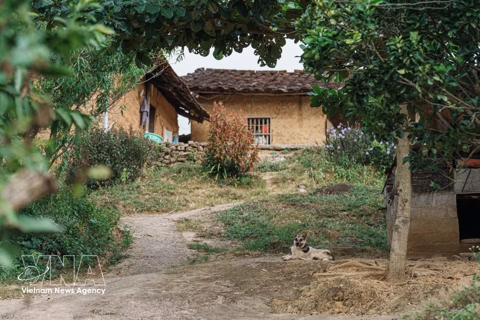 Jardines, senderos de tierra y árboles frondosos crean un paisaje ecológico característico, ideal para el desarrollo del turismo experiencial. Foto: VNA
