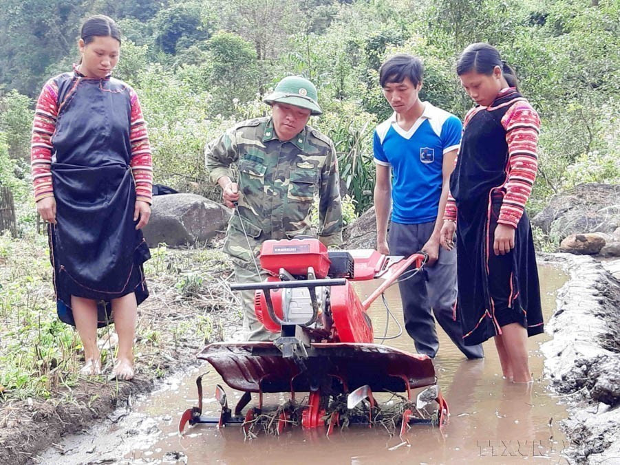 Los oficiales y soldados de la Guardia Fronteriza de Lai Chau instruyen a la gente a utilizar arados para cultivar arroz húmedo, lo que genera una alta eficiencia económica. (Foto: VNA)