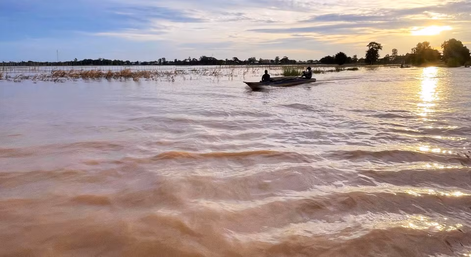 El pez linh, una especialidad de la región occidental, llega con las inundaciones y desaparece con ellas. El pez linh es como un regalo de la Madre Naturaleza a la región del Delta del Mekong. Foto: VNA