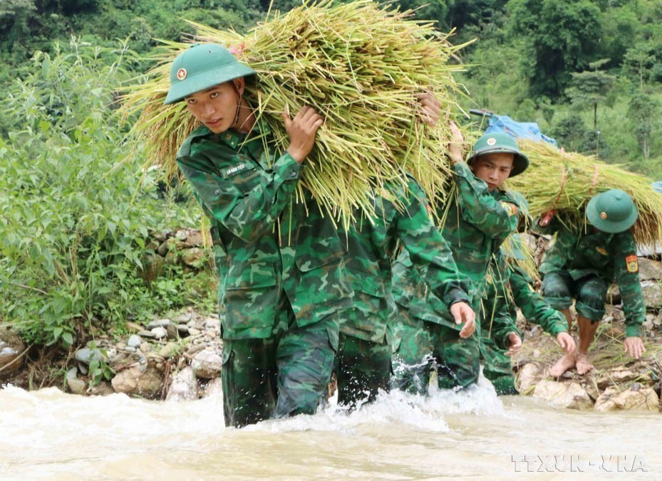 Los soldados del equipo móvil de entrenamiento del Comando de la Guardia Fronteriza de la provincia de Lai Chau ayudan a la gente a cosechar arroz. (Foto: VNA)