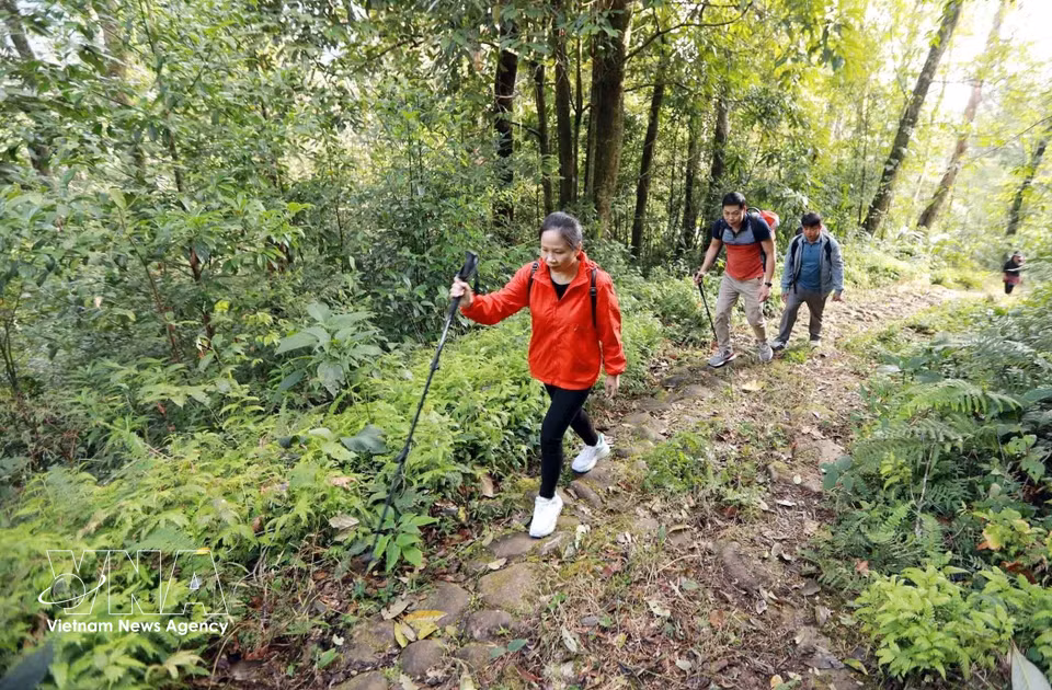 El camino de piedra Pavie conecta dos aldeas de Lai Chau con la provincia de Lao Cai, atravesando una antigua selva tropical virgen. Foto: VNA