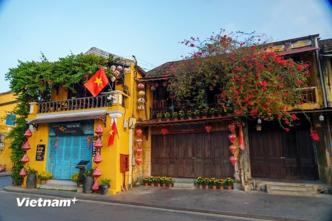 Las vibrantes buganvillas se "despiertan" con el sol de la mañana. La luz matutina, oblicua, crea hermosos colores contrastantes en la arquitectura antigua. (Foto: Vietnam+)
