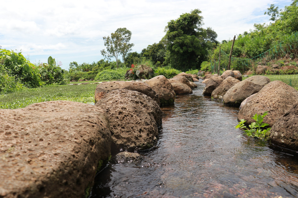 Los antepasados eligieron un lugar con fuentes de agua subterránea para disponer piedras, creando pozos, tanques de sedimentación y canales de agua para la vida diaria y la producción agrícola. (Foto: VNA)