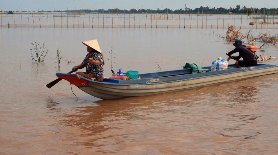 Los habitantes de la zona alta de la provincia de An Giang acuden a los campos inundados para capturar peces linh jóvenes al amanecer. Foto: VNA