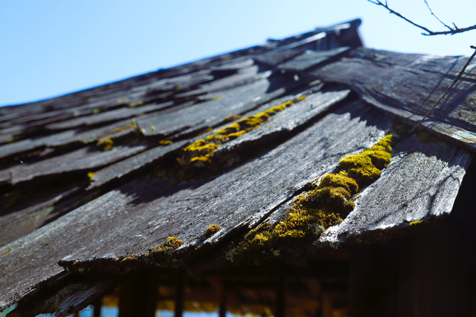 Techos de casas antiguas cubiertos de madera de ciprés en la aldea de Huoi Man. Foto: VNA