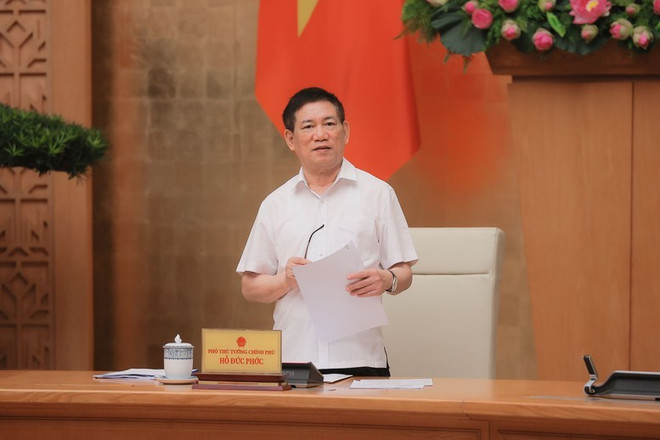 El viceprimer ministro de Vietnam Ho Duc Phoc habla en la reunión. (Foto: VNA) viberimage2025-08-0111-21-33-494-17540234068722079348334.jpg