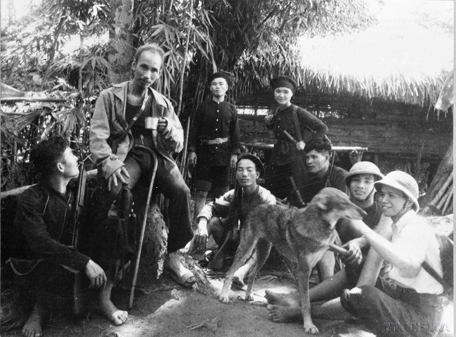 El Presidente Ho Chi Minh descansando camino a su trabajo en la base de la resistencia del Viet Bac durante la lucha contra el colonialismo francés. Fue un ejemplo para la nación en su práctica del ahorro para generar recursos para el desarrollo nacional. Foto: VNA vna-potal-chu-tich-ho-chi-minh-nguoi-sang-lap-ren-luyen-dang-cong-san-viet-nam-7806671.jpg