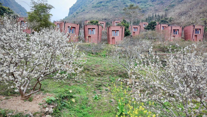 La belleza natural y la vida de la gente de Ha Giang tienen un atractivo especial. (Foto: Vietnam+) 479073750-1430571358244826-625773866955035163-n.jpg