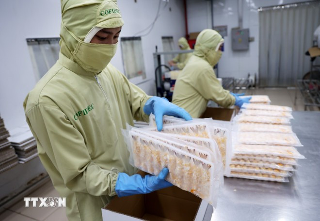 En una fábrica de procesamiento de camarón. (Foto: VNA) che-bien-tom.jpg