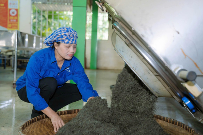 La artesana Nguyen Thi Hai en el taller de producción de la Cooperativa de Té La Bang. (Foto: VNA) anh-4-9.jpg