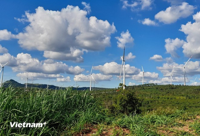 Según estadísticas, hasta agosto de 2025, Vietnam había eliminado cerca de 240 millones de toneladas de CO₂ equivalente en actividades de gestión. (Foto: Hung Vo/Vietnam+) nang-luong-xanh.jpg