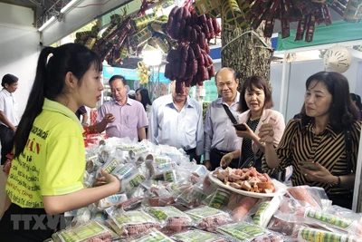 Buscan respaldar a empresas vietnamitas en recuperación ante el COVID-19
