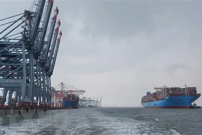 Volumen de carga a través de puertos marítimos de Vietnam mantiene alza