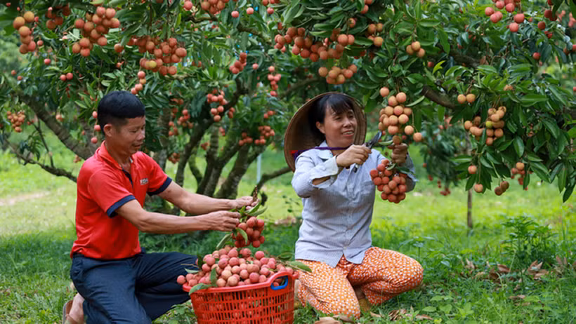 Provincia de Bac Giang ofrece nueva oferta turística