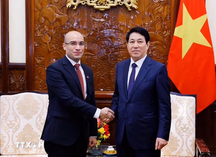 El presidente de Vietnam, Luong Cuong, recibe en Hanoi al embajador saliente de Argelia, Sofiane Chaib (Fuente: VNA)