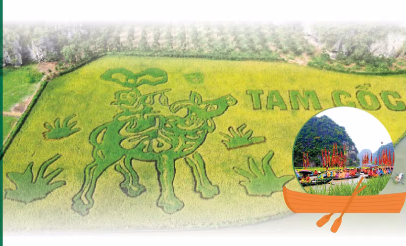 Amplias actividades en la Semana de Turismo de Ninh Binh 2024