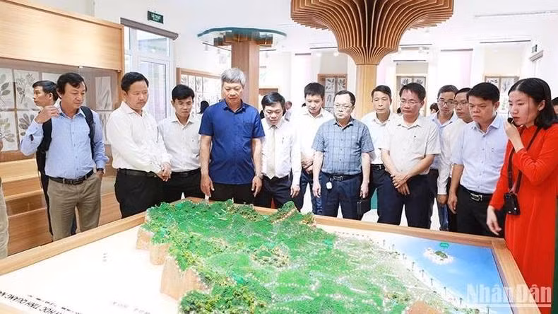 Provincia de Quang Nam inaugura primer museo de biodiversidad. (Fuente:nhandan.vn)