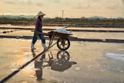 Conservando el sabor salado entre el sol y el viento del Centro de Vietnam
