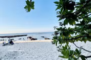 Belleza de la temporada de floración en la isla de Ly Son