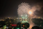 Vietnam da la bienvenida al año nuevo con espectáculos de fuegos artificiales