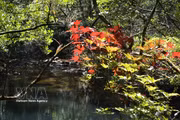 Hue impulsa la conservación y el ecoturismo en el Parque Nacional Bach Ma