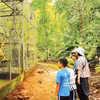 Jóvenes voluntarios acompañan y cuidan a los animales rescatados en el Parque Nacional Bu Gia Map. Foto: nhandan.vn
