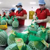 Exportaciones de productos agroforestales y pesqueros de Vietnam crecen 6%